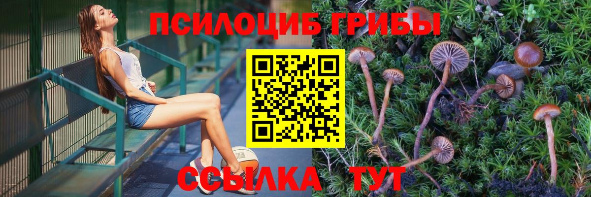 Галлюциногенные грибы прущие грибы Ржев